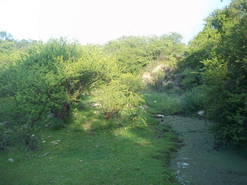 C004sl Campo En Venta De 128 Has En Bosque Alegre