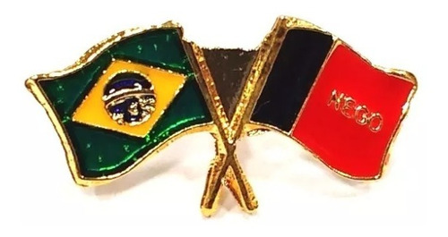 Pim Bótom Broche Bandeira Do Estado Da Paraíba Folheado