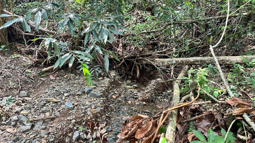 150 Tareas En Monte Plata Excelentes Para Invertir
