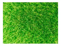Comprar Cesped Perenne Sombra O Media Sombra 500g + Info