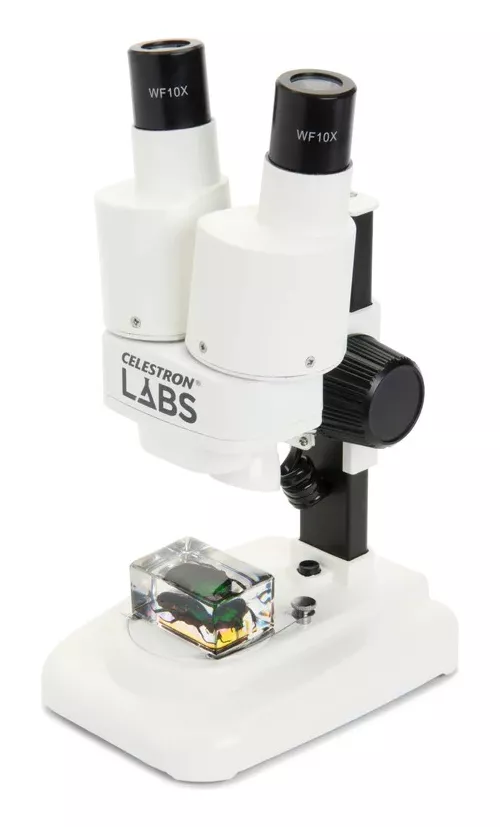 Tercera imagen para búsqueda de microscopio