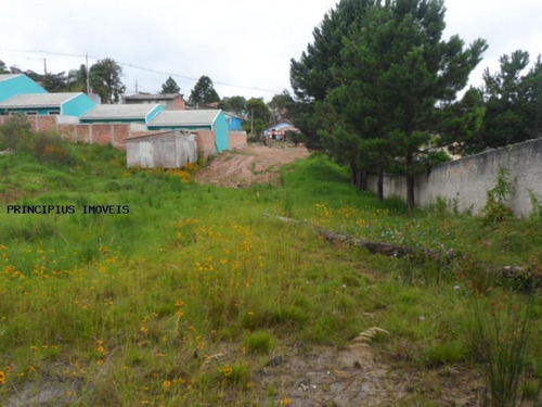 Terreno Para Venda Em Colombo, Vila Florestal Grajau - 00112_2-400591