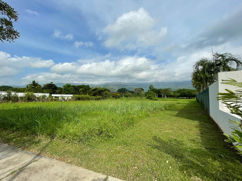Imagen 13 de 14 de En Venta Terreno En Hato Royal