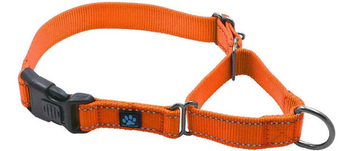 Collar De Nailon Para Perro . Donamos Un Collar A Un Rescate