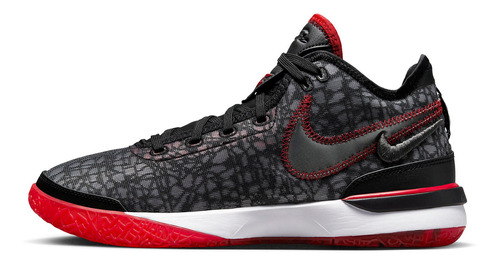 Zapatillas Nike Zoom Lebron Nxxt Gen Wolf Dr8784-004   