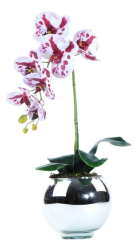 Arranjo De Orquídea Mesclada Em Aquário Espelhado Cora