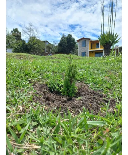 Venta De Casa Finca Vía Guarne C6641202