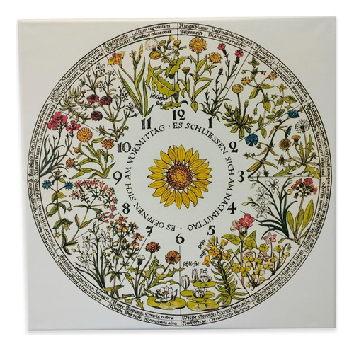 Cuadro Canvas  Bastidor Reloj Floral Linneo 60x60 Cm Mycarte