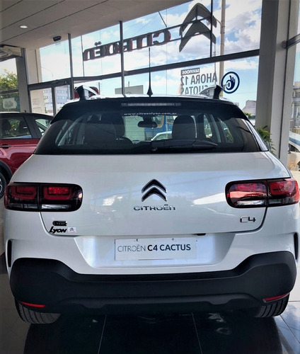 C4 Cactus Thp 165 Eat6 Shine Am21