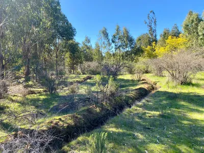 Parcela en venta