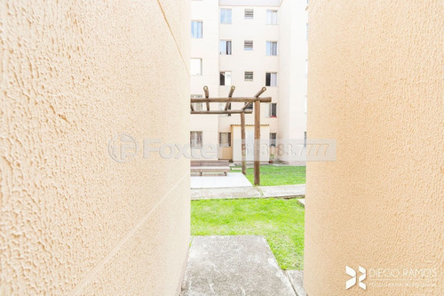 Imagem 21 de 30 de Apartamento, 2 Dormitórios, 39 M², Jardim Leopoldina - 140213