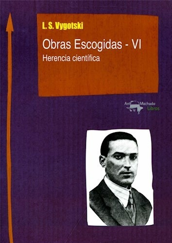 Obras Escogidas Vi Vygotski - Vigotski Lev (libro)