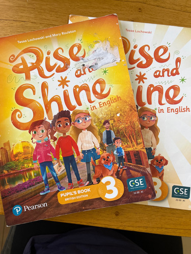 Rise And Shine In English 3 Pupils Y Activity Pearson (Usado)