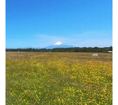 Hermosa Parcela Con Vistas A Volcanes - Austral Partners