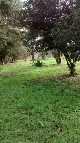 Imagen 16 de 19 de Casa Campo En Venta Ubicado En Fátima, Pilar, G.b.a. Zona Norte