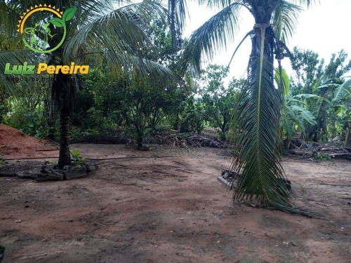 Imagem 3 de 15 de Fazenda À Venda Em Colniza -mt - 629,2 Hectares (dupla Aptidão) - 2108