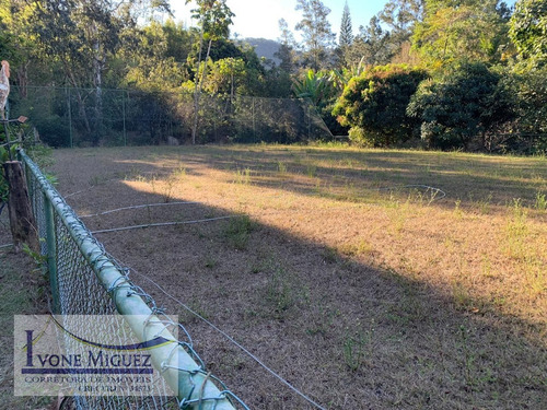 Imagem 10 de 15 de Sítio Em Maravilha - Paty Do Alferes - 3041