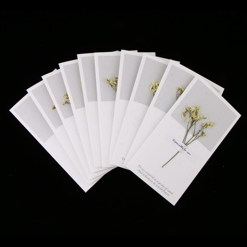 Paquete Flores Secas Tarjetas De Felicitación Amarillo