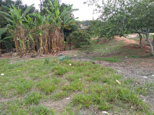 Imagem 2 de 20 de Chacara - Ch00131 - 69207544