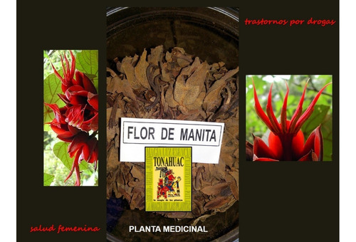 Flor De Manita 125gr Planta Organica Seca | MercadoLibre