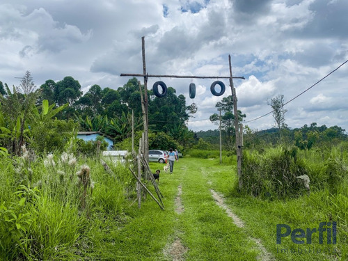 Imagem 6 de 8 de Área Rural - Chácara - 2820