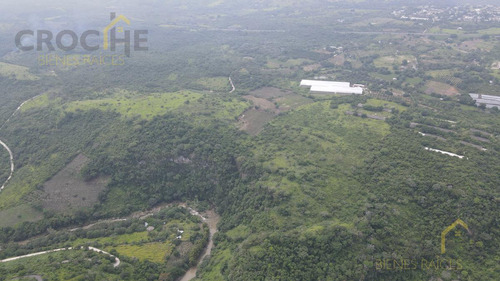 Terreno En Propiedad De 10 Ha Con Río, Cascada Y Banco De Cementante En Cerro Gordo Veracruz