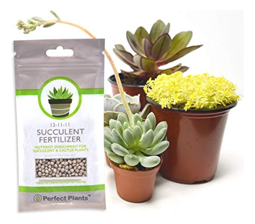 Suculentas Fertilizante Por Plantas Perfectas  Tasa De Luz F