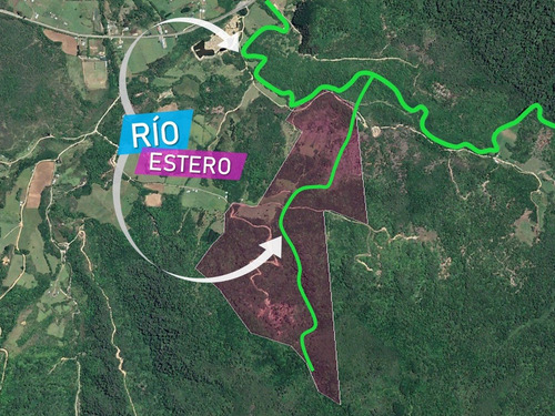 Imagen 22 de 22 de Campo De 42ha Estaquilla - Los Muermos