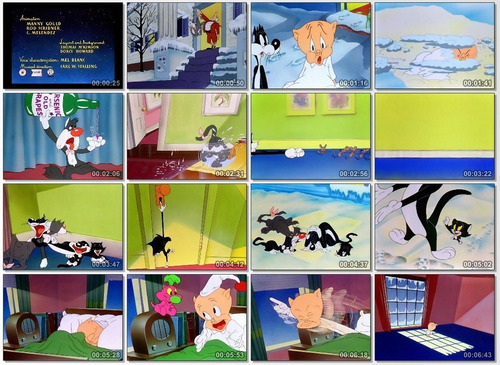 Serie Looney Tunes Y Merrie Melodies Coleccion Completa