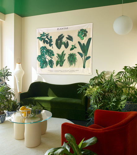 Tapiz Decorativo Botánico Con Ilustraciones De Plantas Verde Estampado