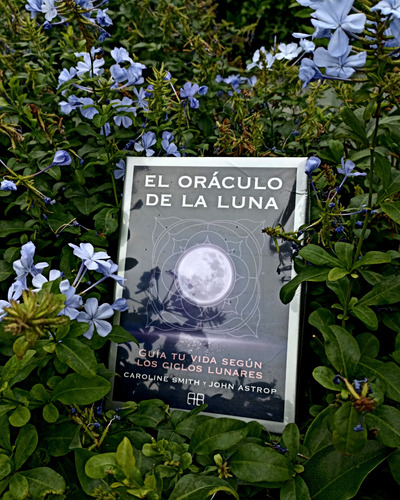 Oraculo De La Luna