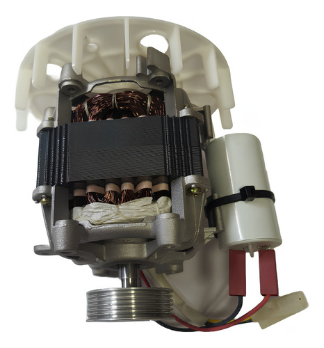 Motor P/ Lavadora Mueller Plus C/ventilador Original 110v