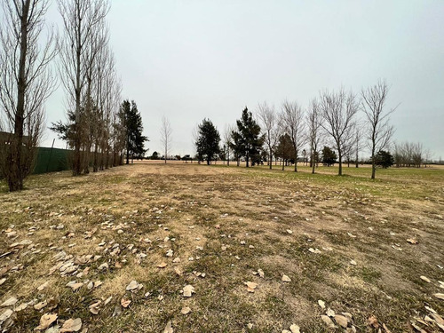 Imagen 3 de 12 de Terreno - La Rinconada - Lote 36 - 1000m2