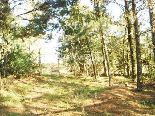 Terreno - Vila Nova - Ref: 22409 - V-22409