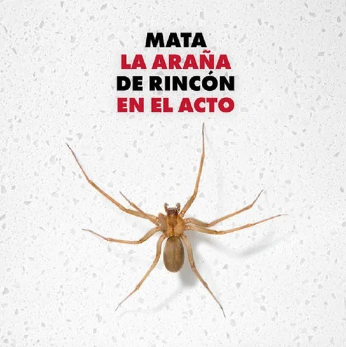 1x Raid Max Mata Arañas Sin Olor 360cc Envios A Todo Chile