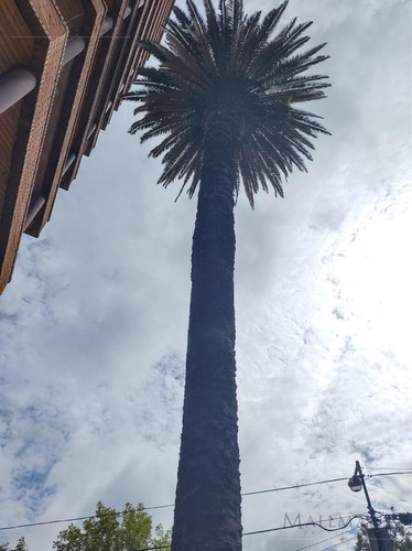 Imagen 2 de 29 de Departamento - San Fernando