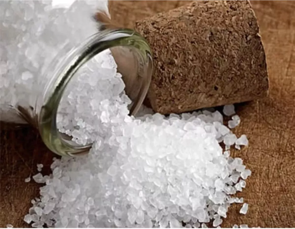 Segunda imagem para pesquisa de sal grosso sem iodo 25 kg