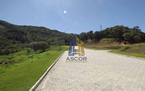 Imagem 12 de 17 de Terreno À Venda, 450 M² - Itacorubi - Florianópolis/sc - Te0186