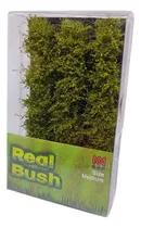 Comprar Pasto Vegetacion 20mm Diorama Verde Lima Real Bush Maqueta
