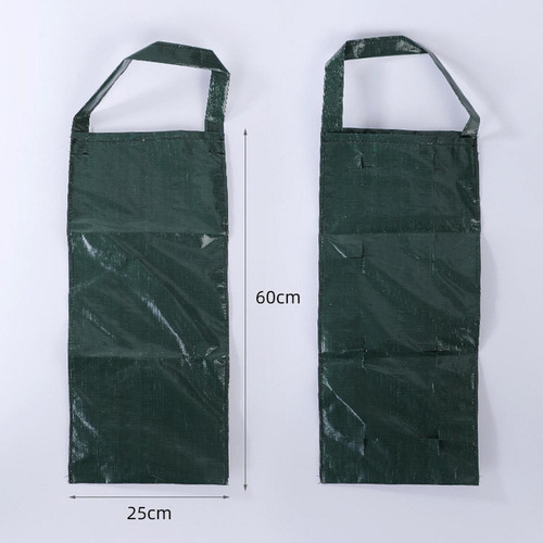 Bolsa De Cultivo De Morango Bolsa De Cultivo Prática