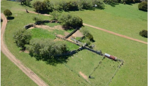 Imagen 4 de 13 de Terreno Campo En Venta Ubicado En El Tesoro, Punta Del Este