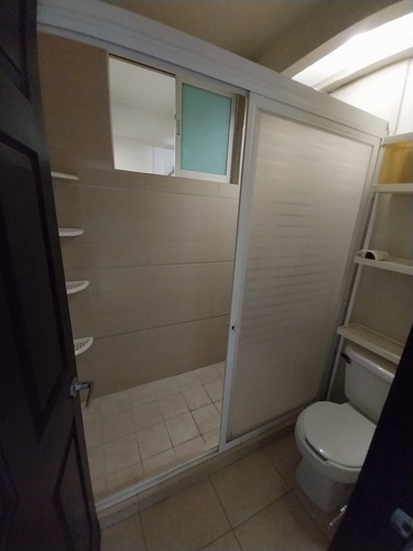 Renta Pent House Con Roof Garden Privado Av. Díaz Ordaz