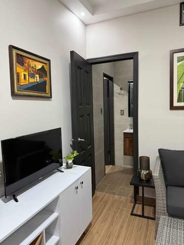 Apartamento En Alquiler Nuevo 1 Habitación Desamparados