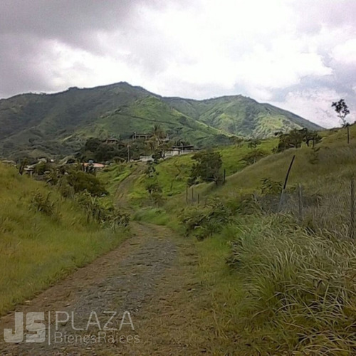 Imagen 3 de 7 de Terreno En Venta/ San Juan De Los Morros/ 04128859981