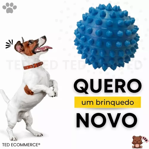 Jogos Do Cão De Bull Terrier Do Inglês Com Uma Bola Imagem de