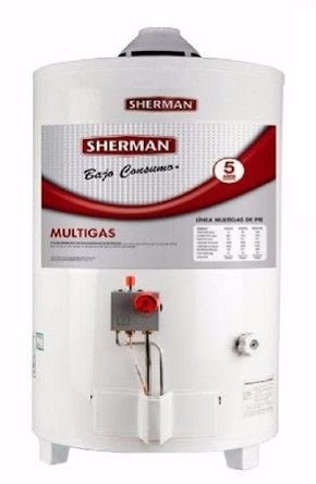 Termotanque Sherman Multigas 50 Lt De Pie Conexion Superior