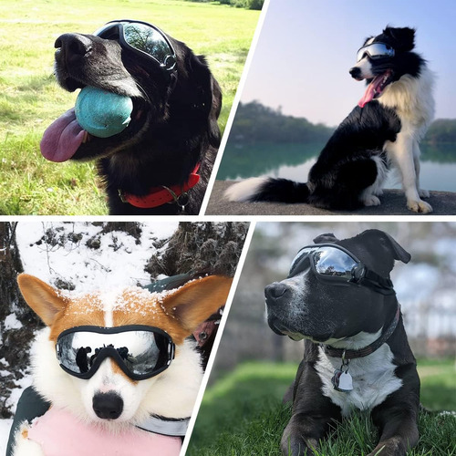 Gafas De Sol Para Perros Gafas De Sol Para Perros De Ra...