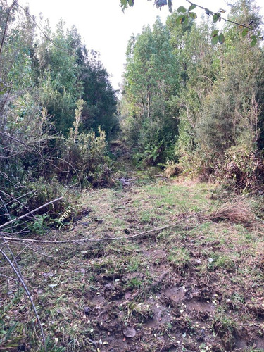 Parcelas Cerca Del Lago Ranco