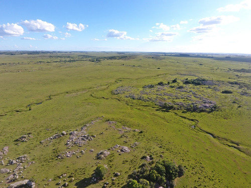 236hás Campo Criador En Florida