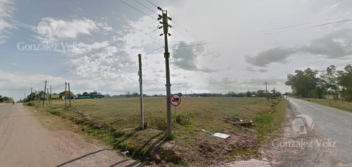 Imagen 1 de 2 de Casa - Carmelo